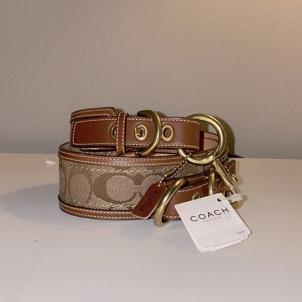 Authentic COACH belt super cute for any occasion! Size L/size Large